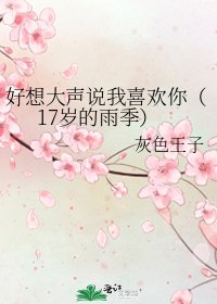 《好想大声说我喜欢你(17岁的雨季)》