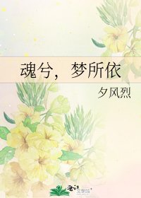 《魂兮,梦所依》