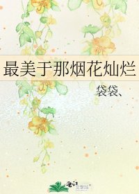 《最美于那烟花灿烂》