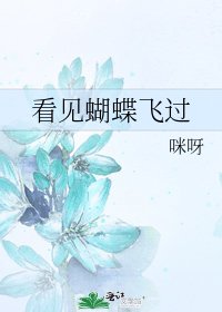 《看见蝴蝶飞过》