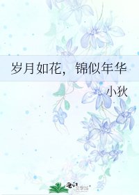 《岁月如花,锦似年华》