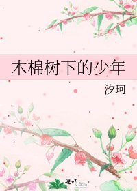 木棉树下的少年