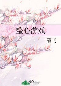 《整心游戏》