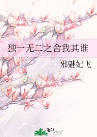 《独一无二之舍我其谁》