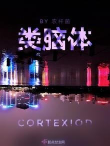 《类脑嚏》