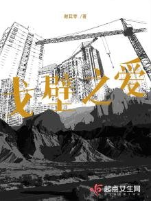 《戈壁之爱》