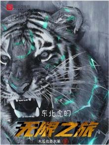 《东北虎的无限之旅》