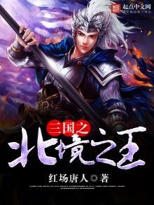 《三国之北境之王》