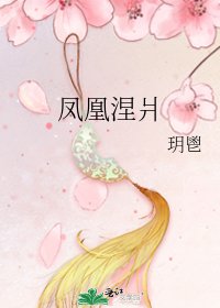 《凤凰涅爿》