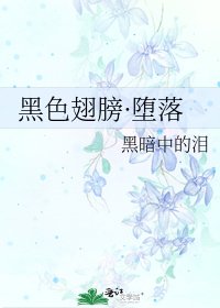 《黑色翅膀·堕落》