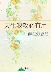 《天生我攻必有用》