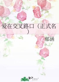 《爱在交叉路口(正式名)》