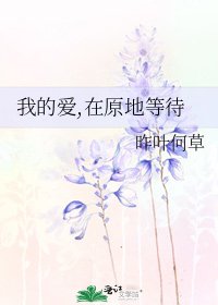 《我的爱,在原地等待》