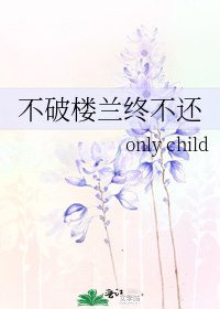 《不破楼兰终不还》