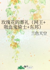 《玫瑰花的葬礼(网王+吸血鬼骑士+东邦)》