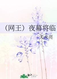 《(网王)夜幕将临》