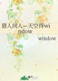 《猎人同人—天空得window》