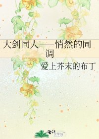 《大剑同人——悄然的同调》