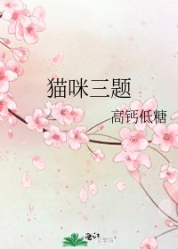 猫咪三题