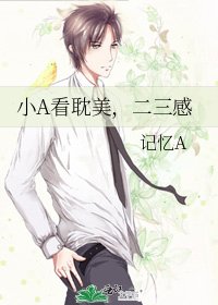 小A看耽美，二三感