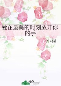 爱在最美的时刻放开你的手
