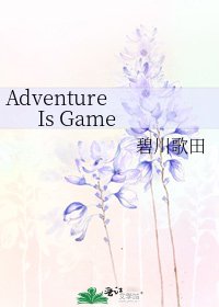 《Adventure Is Game》