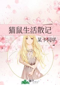 《猫鼠生活散记》