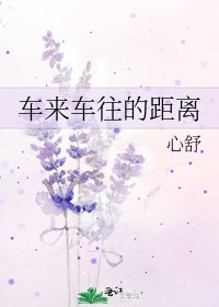 《车来车往的距离》