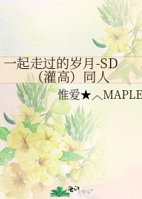 《一起走过的岁月-SD(灌高)同人》