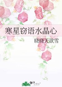 《寒星窃语水晶心》