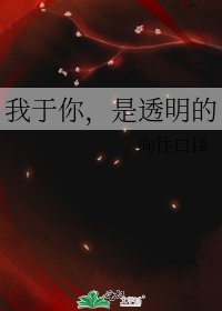 《我于你,是透明的》