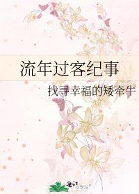 《流年过客纪事》