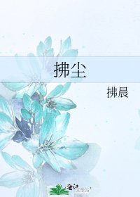 《拂尘》