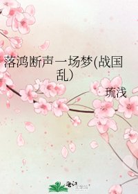 《落鸿断声一场梦(战国乱)》