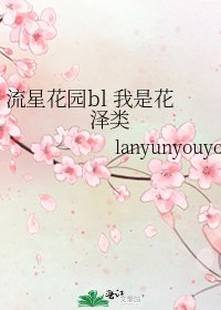 《流星花园bl 我是花泽类》