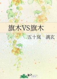 《旗木VS旗木》