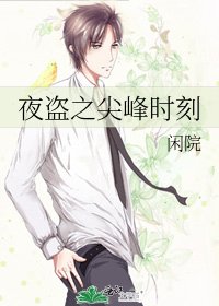 《夜盗之尖峰时刻》