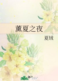 薰夏之夜