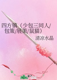 《四方镇(少包三同人/包策/展策/鼠猫)》