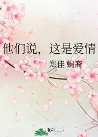《他们说,这是爱情》
