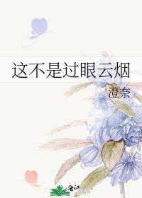 《这不是过眼云烟》
