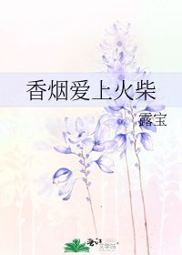《香烟爱上火柴》