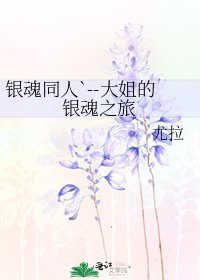 《银浑同人`--大姐的银浑之旅》