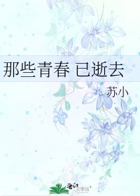 《那些青春 已逝去》
