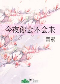 《今夜你会不会来》