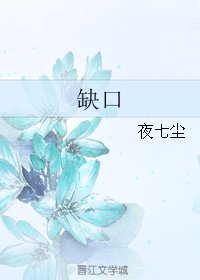 《缺口》