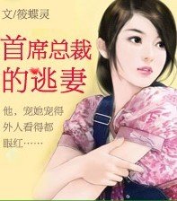 首席总裁的逃妻