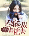 《试婚总裁蜜糖妻》