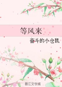 《等风来》