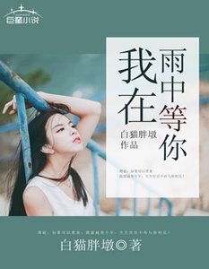 《我在雨中等你》